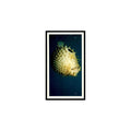 Spiny Puffer 1985 Grandee Cigars The Living Ocean #18 EX