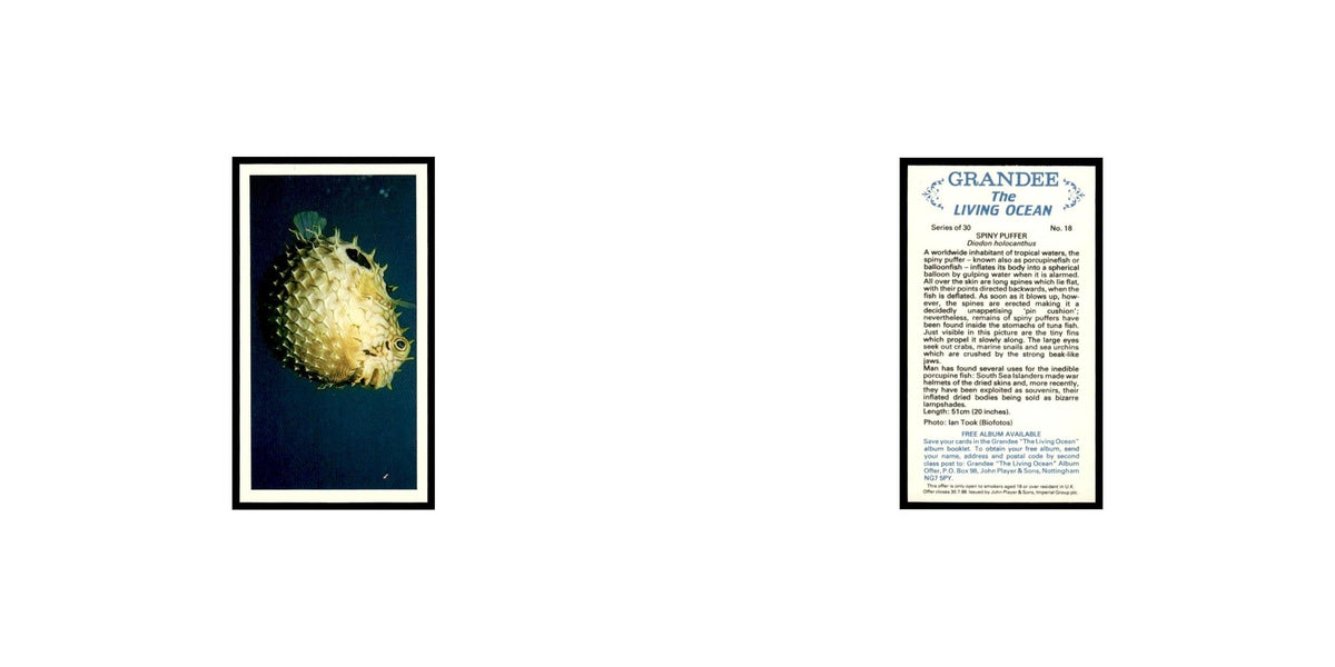 Spiny Puffer 1985 Grandee Cigars The Living Ocean #18 EX