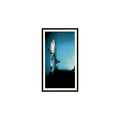 White Tip Reef Shark 1985 Grandee Cigars The Living Ocean #13 EX