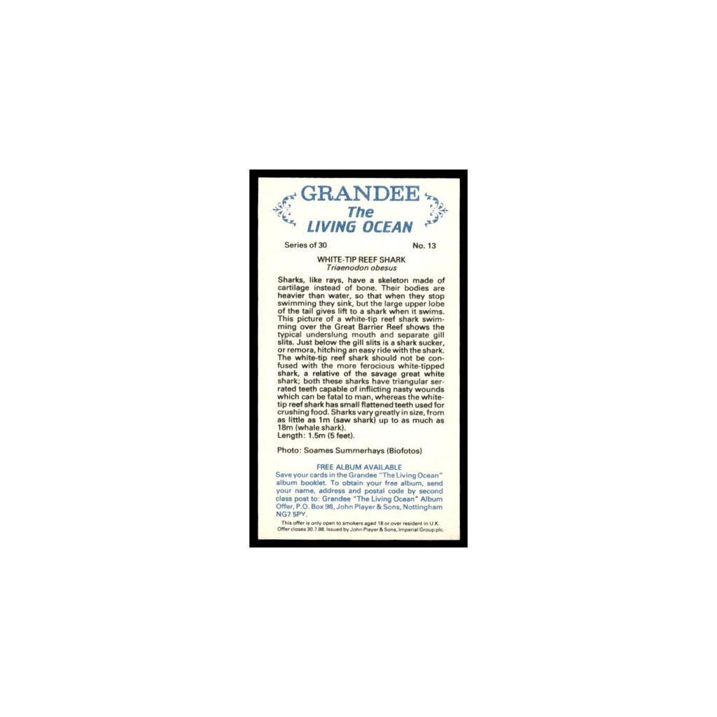 White Tip Reef Shark 1985 Grandee Cigars The Living Ocean #13 EX