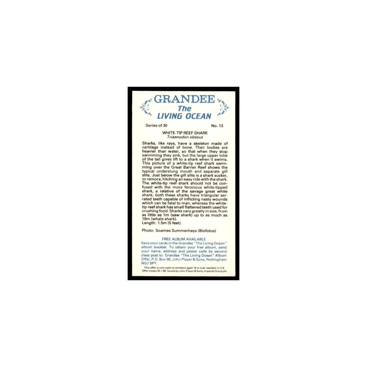 White Tip Reef Shark 1985 Grandee Cigars The Living Ocean #13 EX