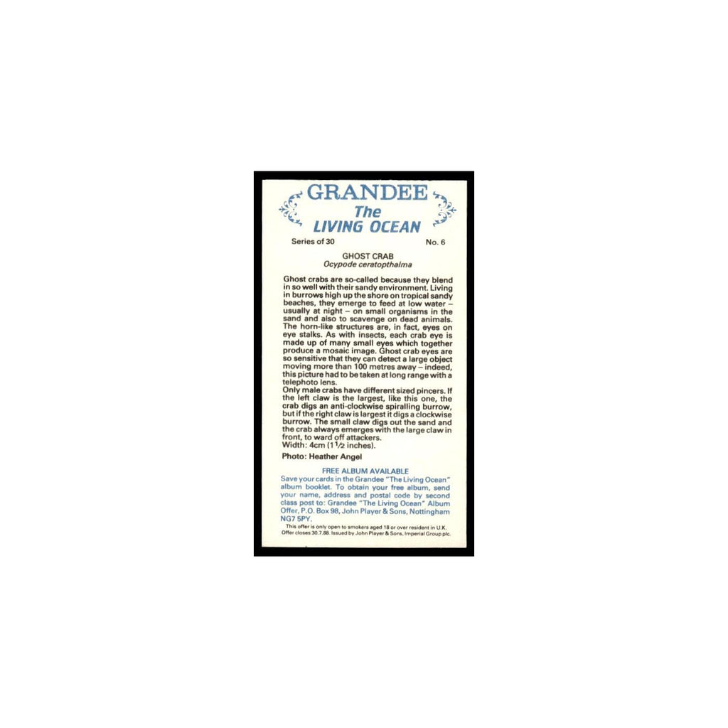 Ghost Crab 1985 Grandee Cigars The Living Ocean #6 EX