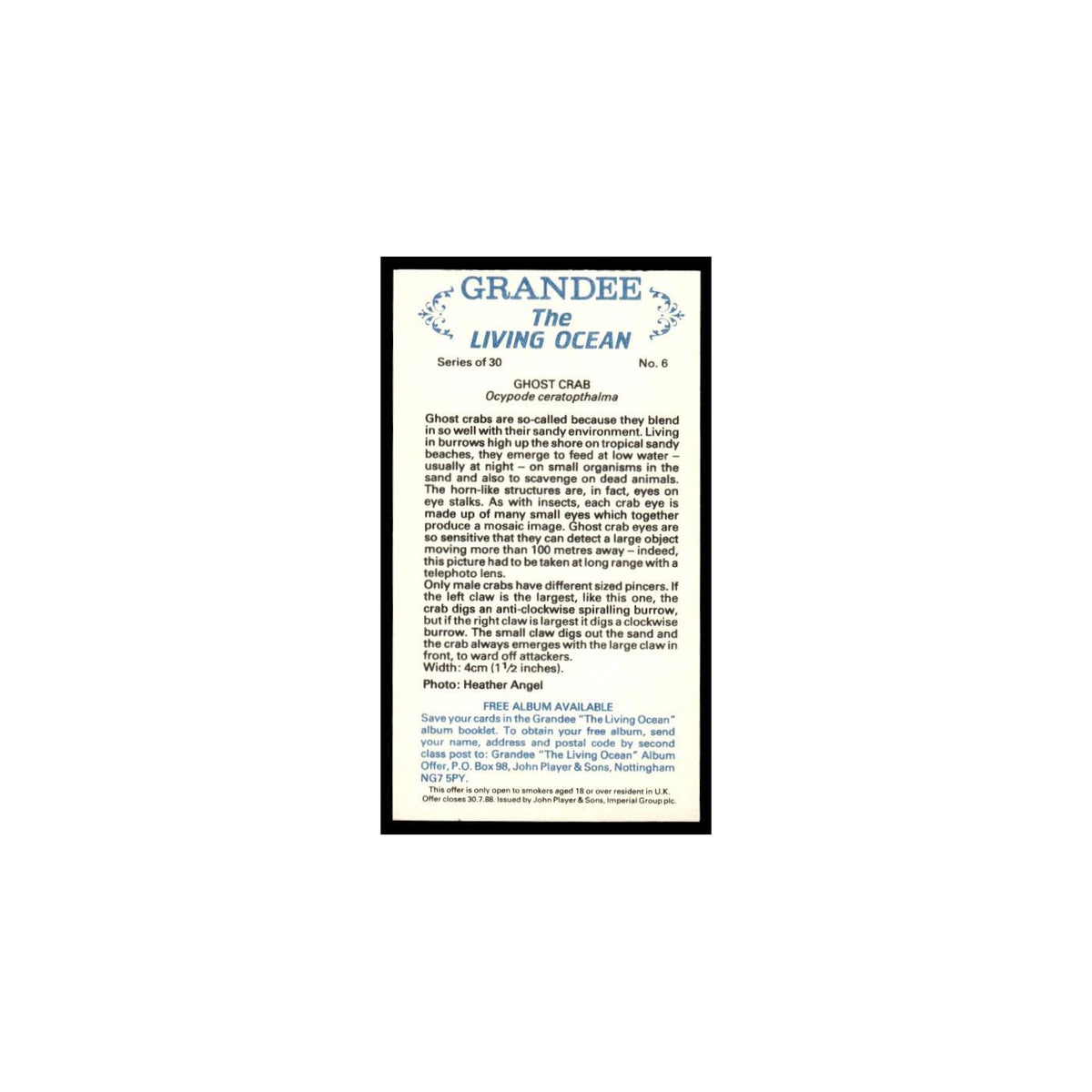 Ghost Crab 1985 Grandee Cigars The Living Ocean #6 EX