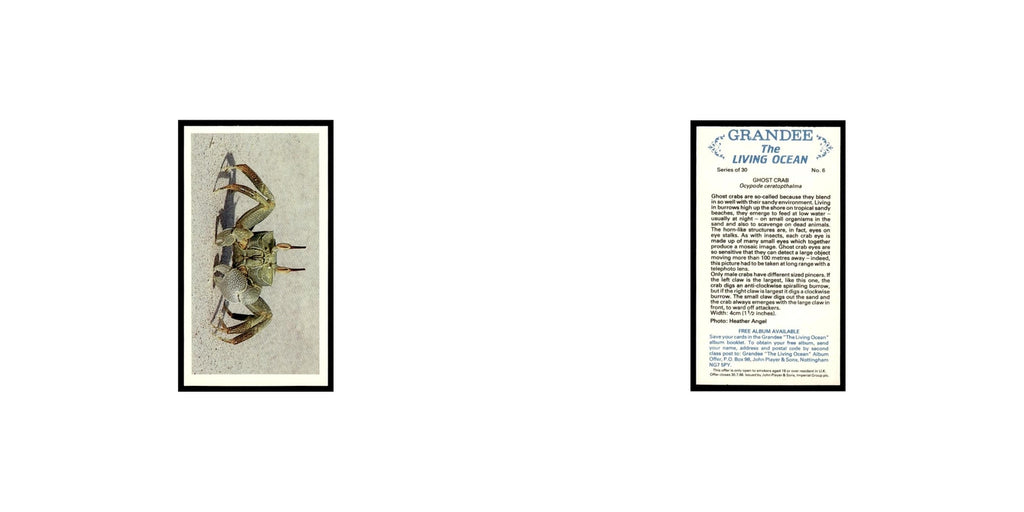 Ghost Crab 1985 Grandee Cigars The Living Ocean #6 EX