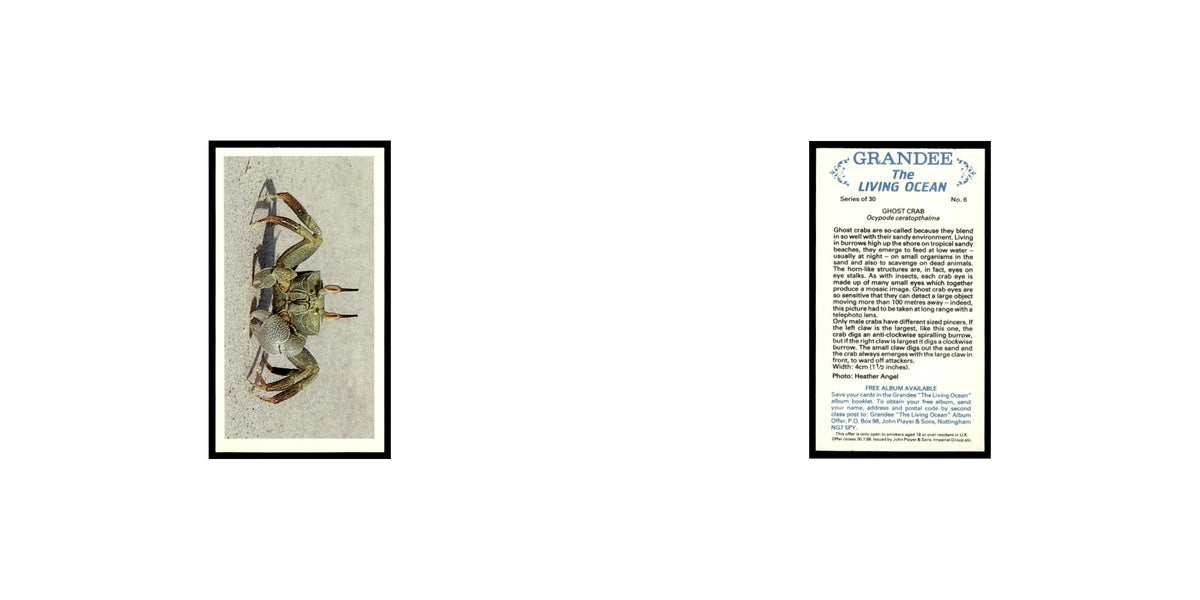 Ghost Crab 1985 Grandee Cigars The Living Ocean #6 EX
