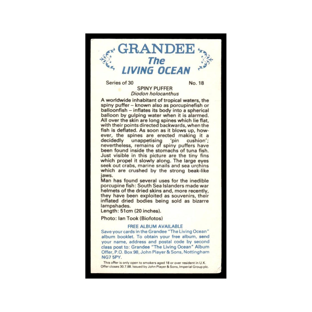 Spiny Puffer 1985 Grandee Cigars The Living Ocean #18 EX