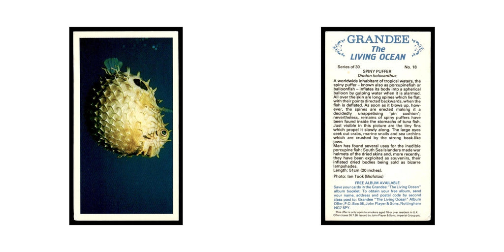 Spiny Puffer 1985 Grandee Cigars The Living Ocean #18 EX