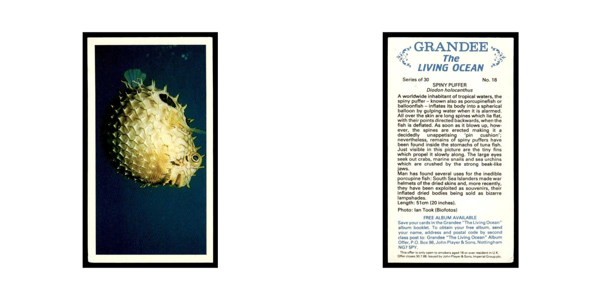 Spiny Puffer 1985 Grandee Cigars The Living Ocean #18 EX