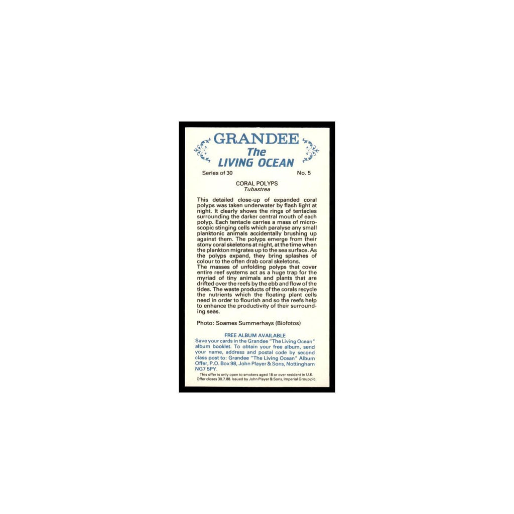 Coral Polyps 1985 Grandee Cigars The Living Ocean #5 Baseball Card EX