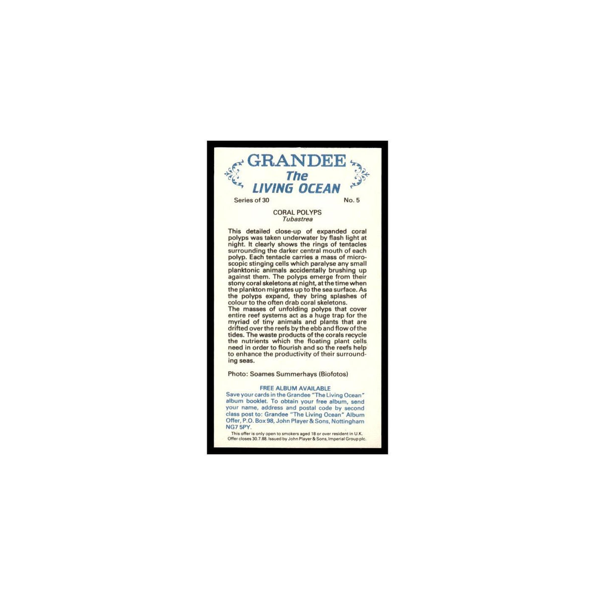 Coral Polyps 1985 Grandee Cigars The Living Ocean #5 Baseball Card EX