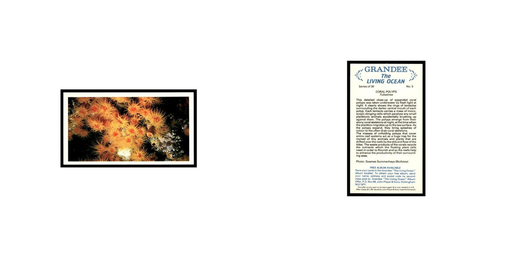 Coral Polyps 1985 Grandee Cigars The Living Ocean #5 Baseball Card EX