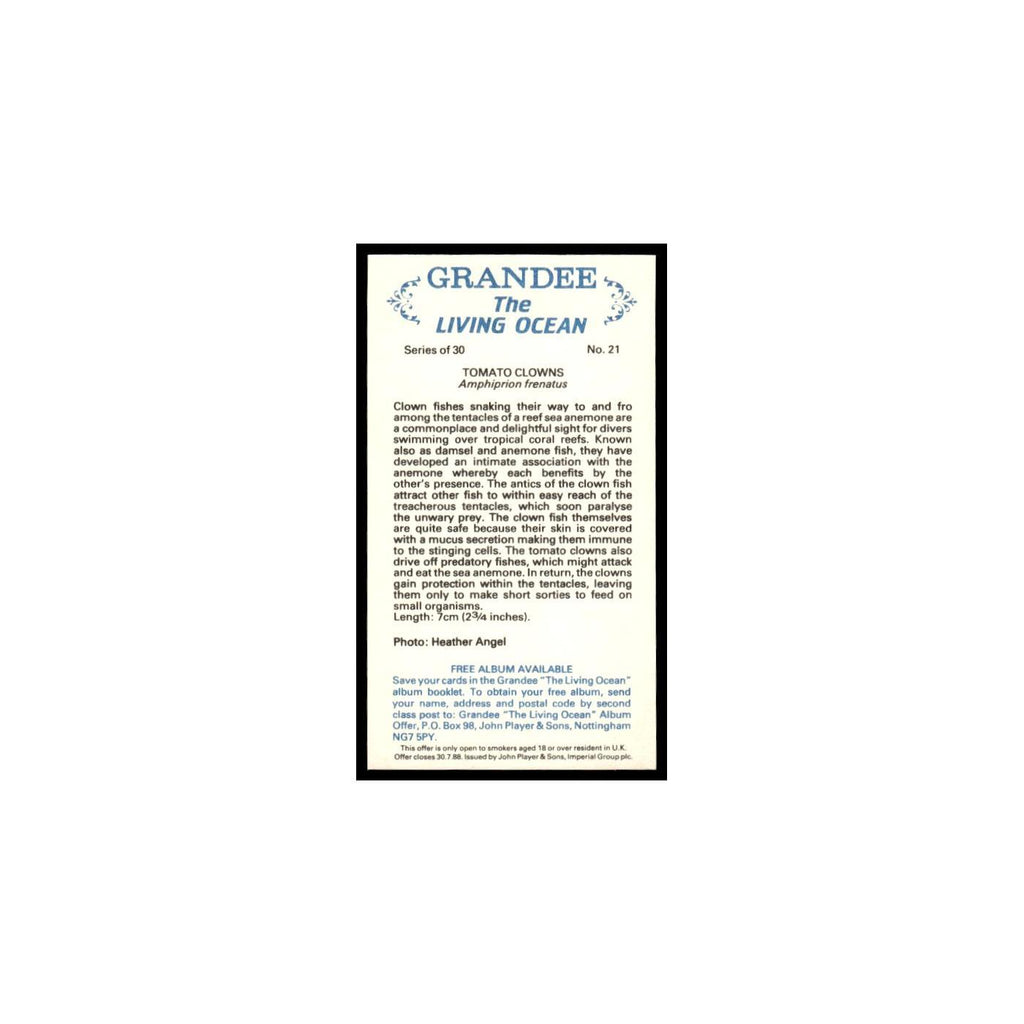 Tomato Clowns 1985 Grandee Cigars The Living Ocean #21 EX