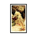 Sea Horse 1985 Grandee Cigars The Living Ocean #24 EX