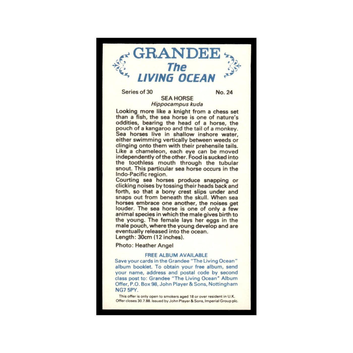 Sea Horse 1985 Grandee Cigars The Living Ocean #24 EX
