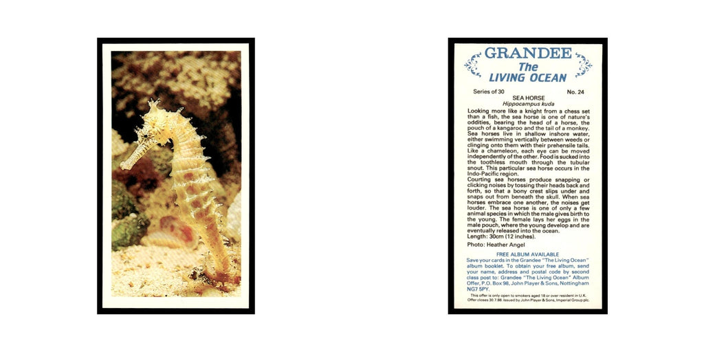 Sea Horse 1985 Grandee Cigars The Living Ocean #24 EX