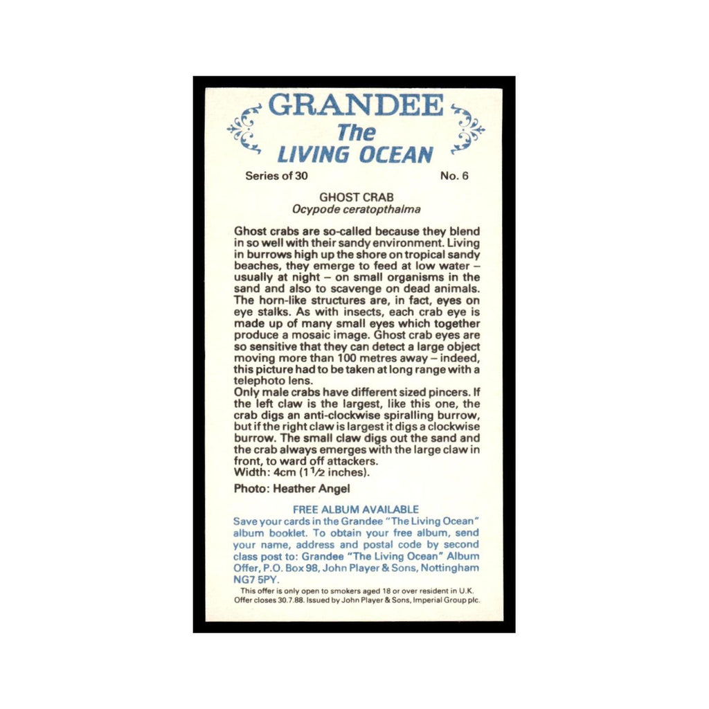 Ghost Crab 1985 Grandee Cigars The Living Ocean #6 EX