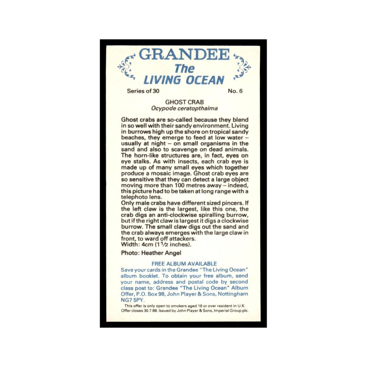 Ghost Crab 1985 Grandee Cigars The Living Ocean #6 EX