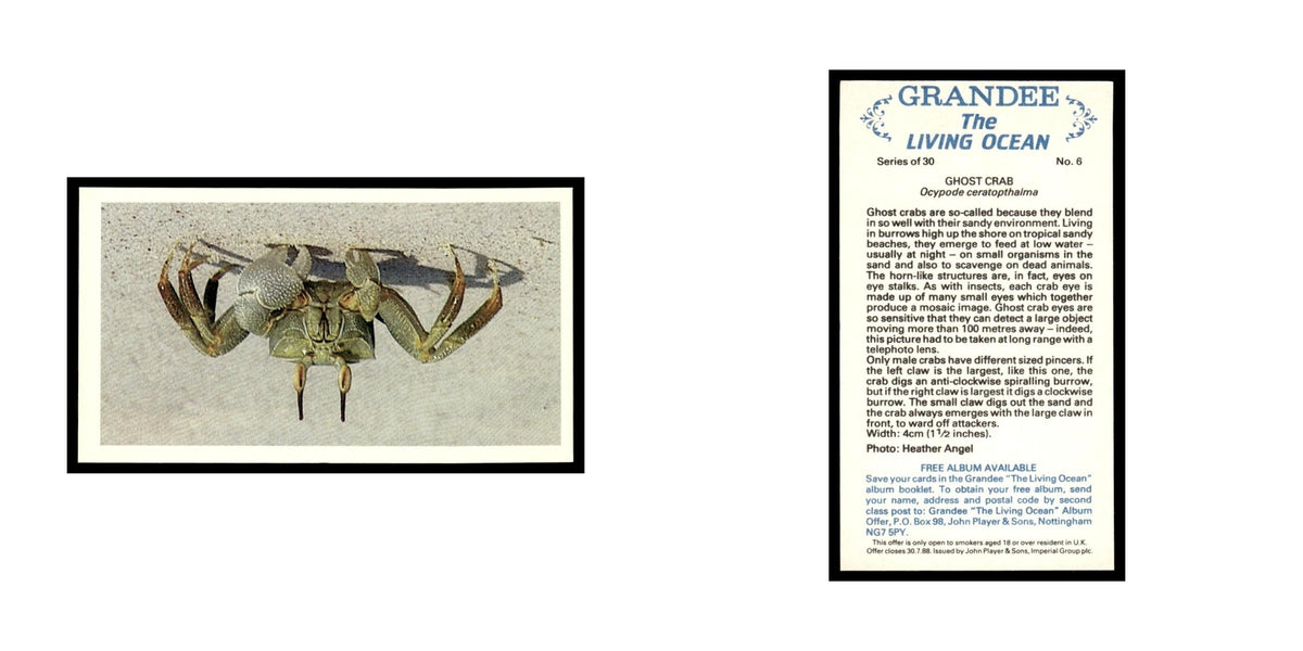 Ghost Crab 1985 Grandee Cigars The Living Ocean #6 EX