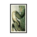 Sea Krait 1985 Grandee Cigars The Living Ocean #25 Baseball Card EX