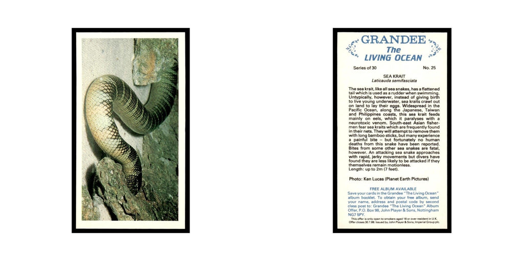 Sea Krait 1985 Grandee Cigars The Living Ocean #25 Baseball Card EX