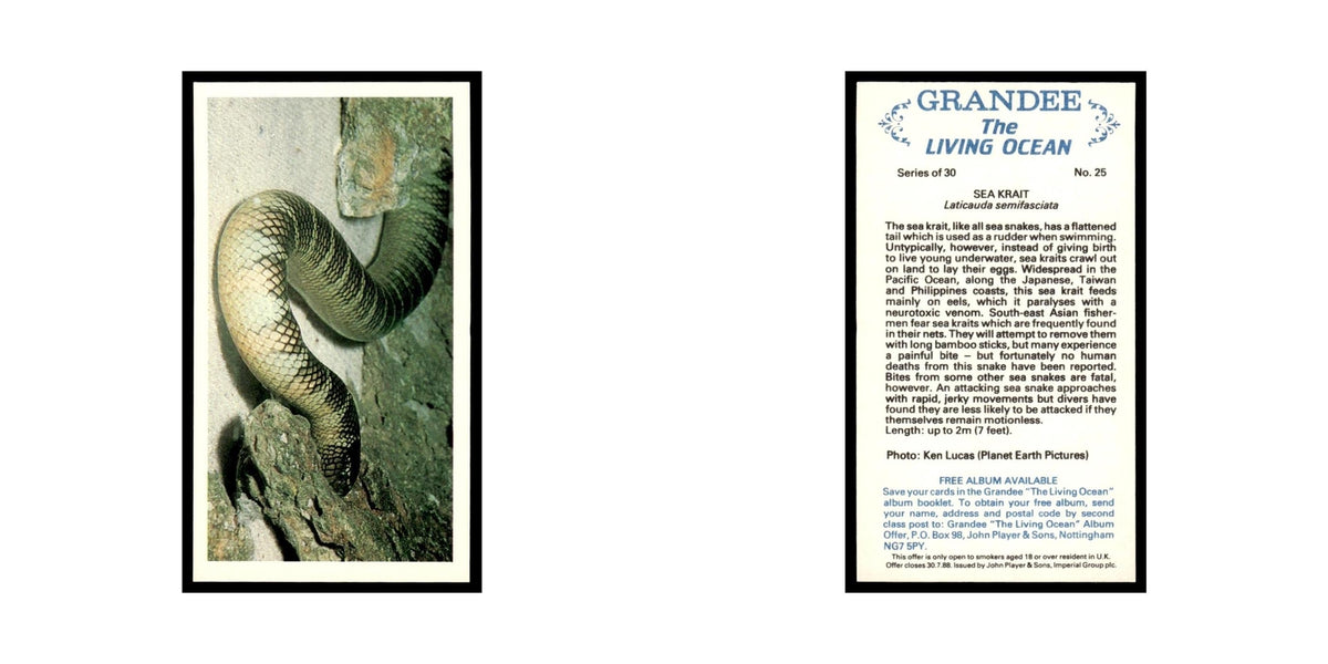 Sea Krait 1985 Grandee Cigars The Living Ocean #25 Baseball Card EX