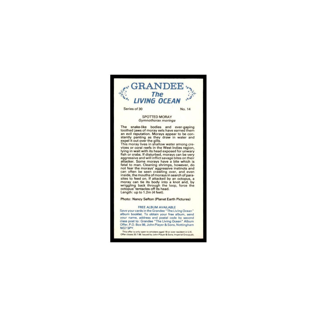 Spotted Moray 1985 Grandee Cigars The Living Ocean #14 EX