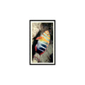 Harlequin Tusk Fish 1985 Grandee Cigars The Living Ocean #22 EX