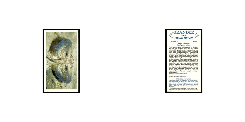 Flying Gurnard 1985 Grandee Cigars The Living Ocean #15 EX