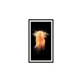 Gaping File Shell 1985 Grandee Cigars The Living Ocean #9 Baseball Card EX