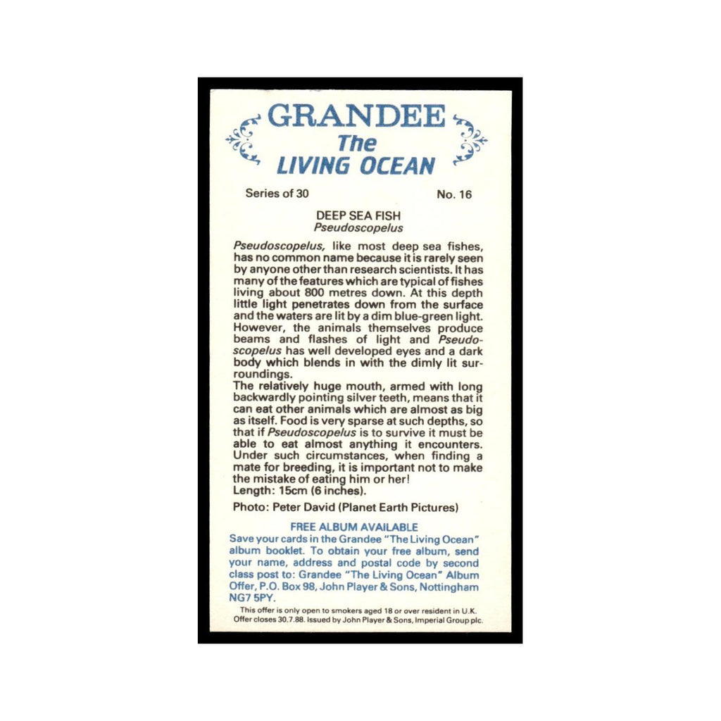 Deep Sea Fish 1985 Grandee Cigars The Living Ocean #16 EX