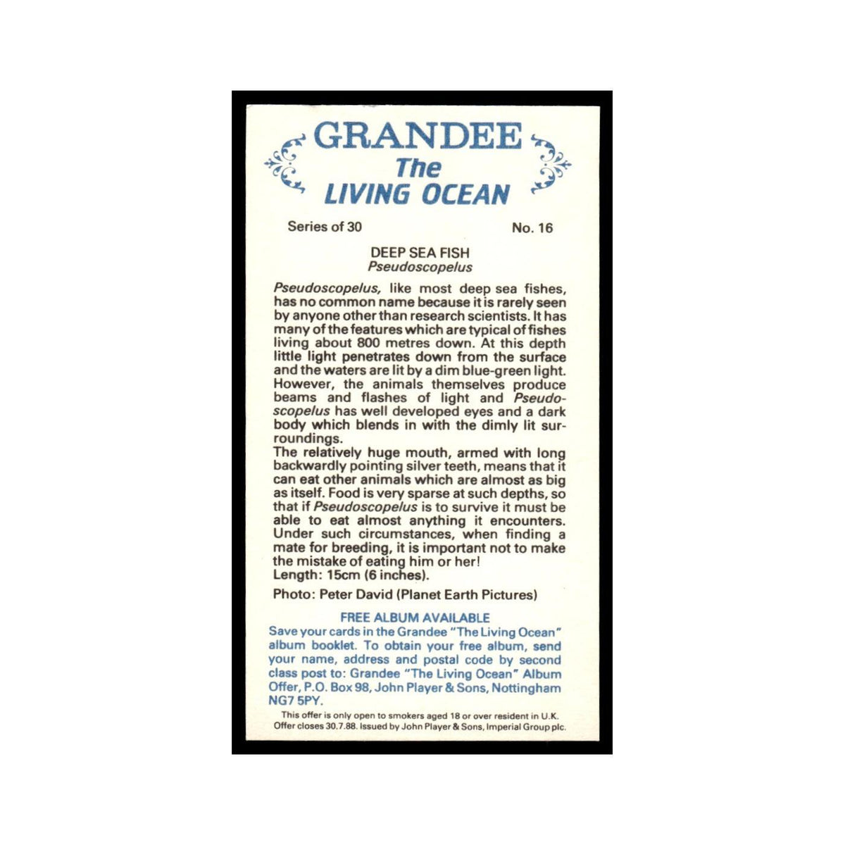 Deep Sea Fish 1985 Grandee Cigars The Living Ocean #16 EX