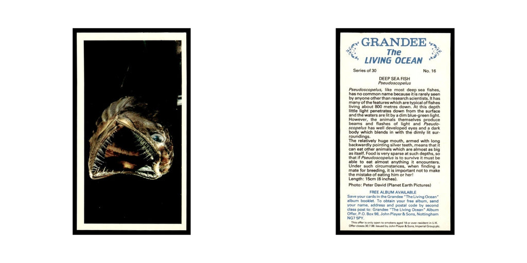 Deep Sea Fish 1985 Grandee Cigars The Living Ocean #16 EX
