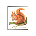 Red Squirrel 1976 Quaker Oats Nature Trek #nan Baseball Card VG
