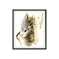 Grey Heron 1976 Quaker Oats Nature Trek #nan Baseball Card VG