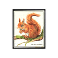 Red Squirrel 1976 Quaker Oats Nature Trek #nan Baseball Card VG