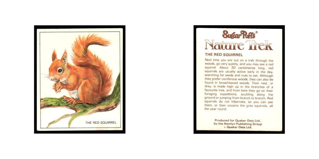 Red Squirrel 1976 Quaker Oats Nature Trek #nan Baseball Card VG