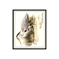 Grey Heron 1976 Quaker Oats Nature Trek #nan Baseball Card VG