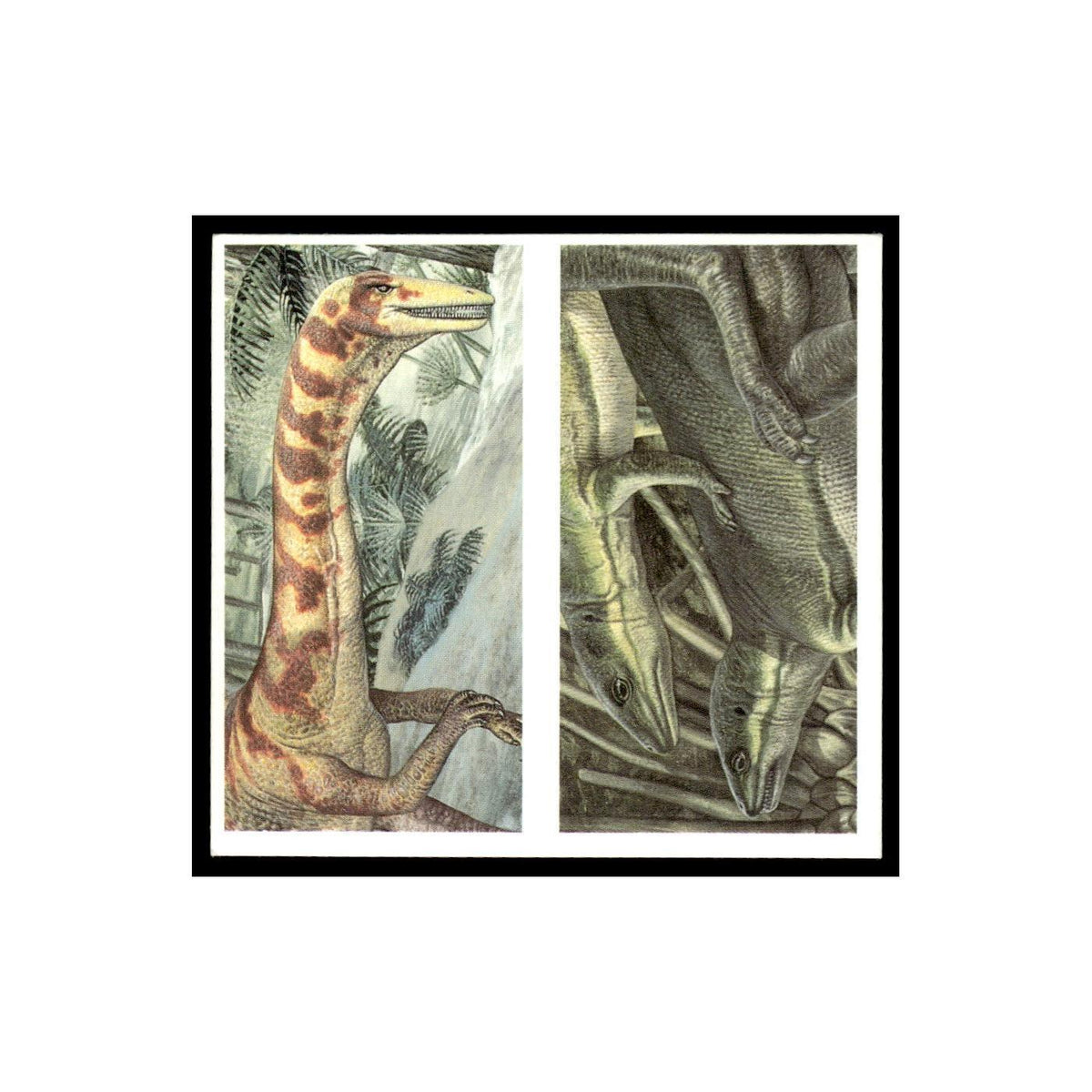 Coelophysis Lesothosaurus 1993 #3/4 NM