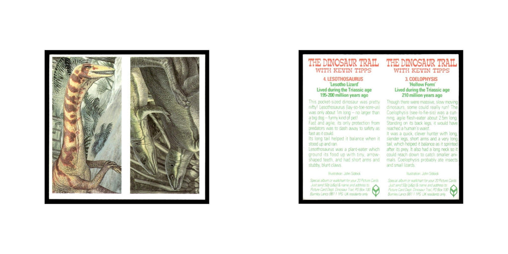 Coelophysis Lesothosaurus 1993 #3/4 NM