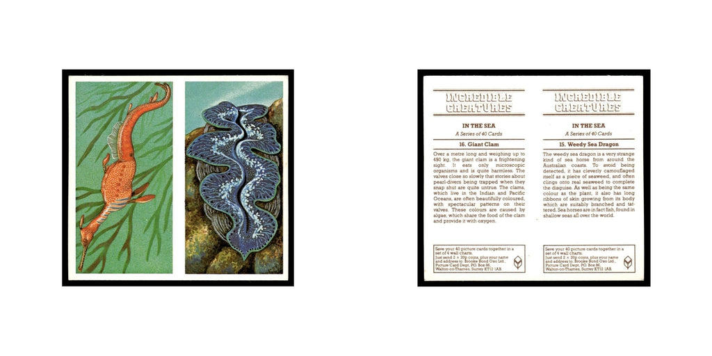 Weedy Sea Dragon Giant Clam 1985 #15/16 NM