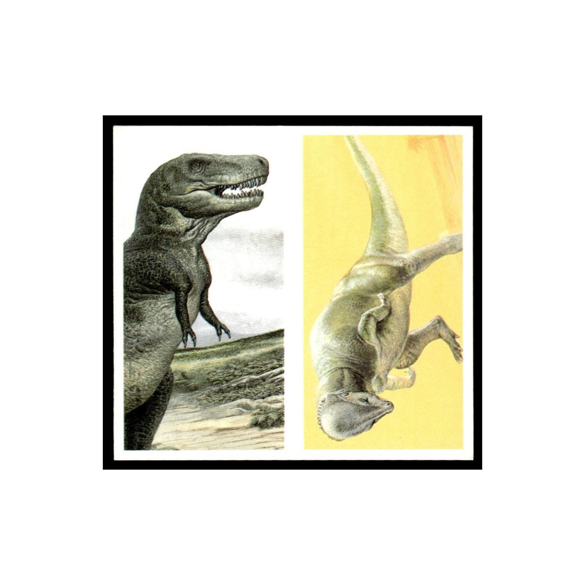 Tyrannosaurus Rex Pachycephalosaurus 1993 #17/18 NM