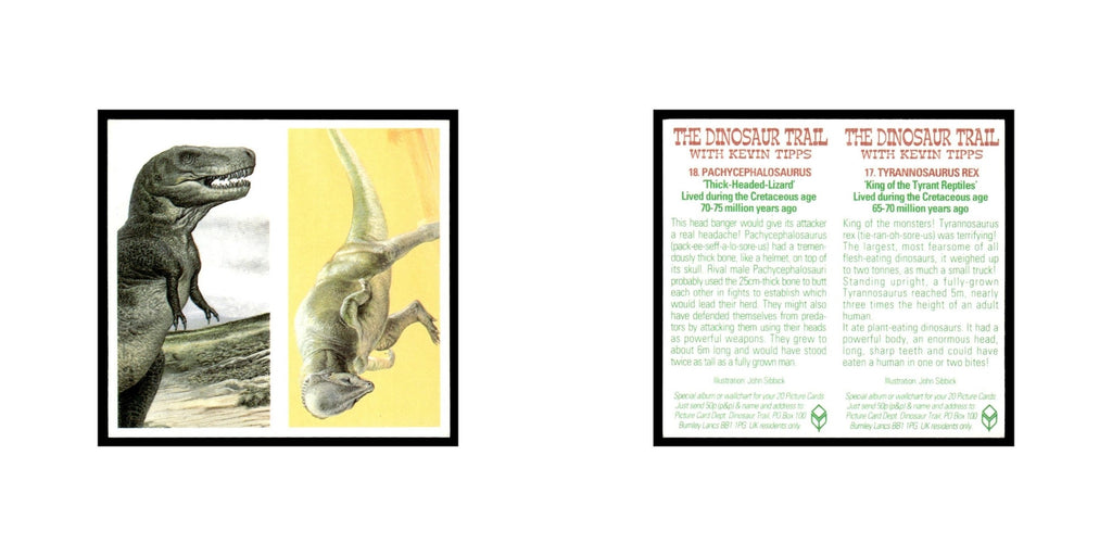 Tyrannosaurus Rex Pachycephalosaurus 1993 #17/18 NM
