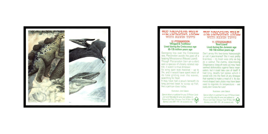 Stegosaurus Pteranodon 1993 Brooke Bond The Dinosaur Trail Double Card #11/12 NM