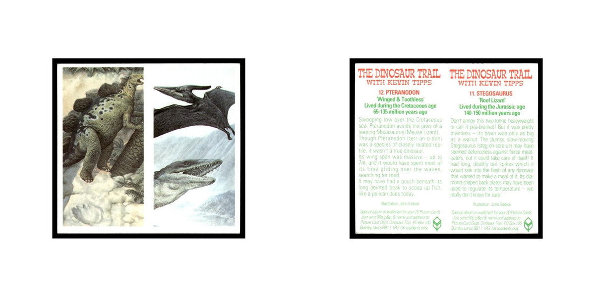 Stegosaurus Pteranodon 1993 Brooke Bond The Dinosaur Trail Double Card #11/12 NM