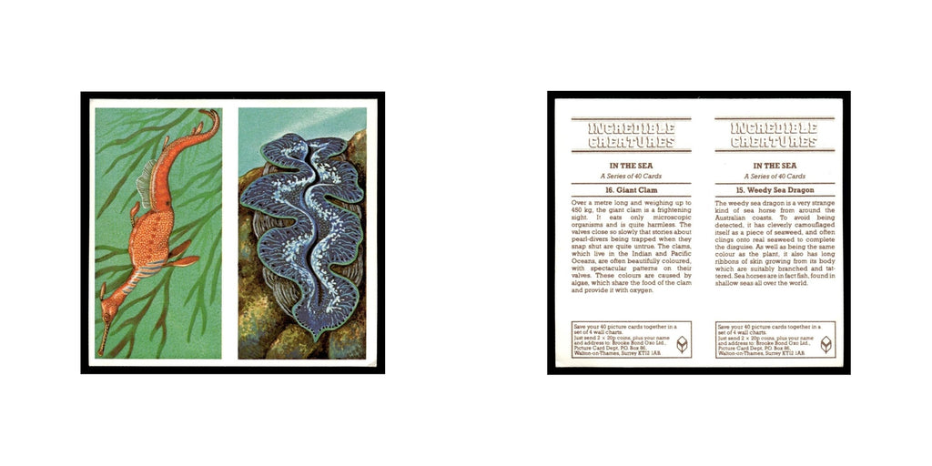 Weedy Sea Dragon Giant Clam 1985 #15/16 NM