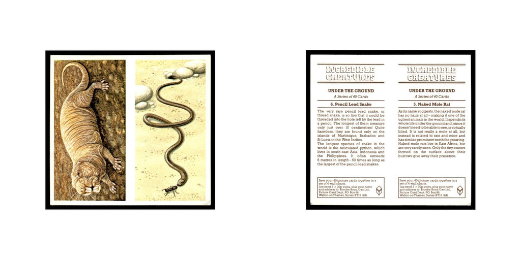 Naked Mole Rat Pencil Lead Snake 1985 #5/6 NM