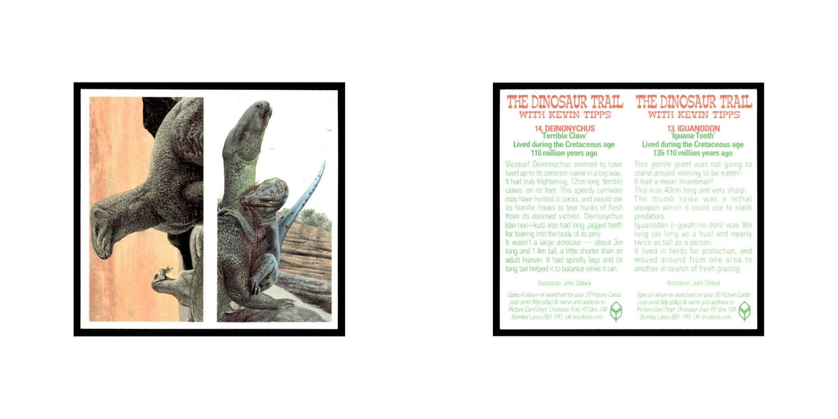 Iguanodon Deinonychus 1993 Brooke Bond The Dinosaur Trail Double Card #13/14 NM