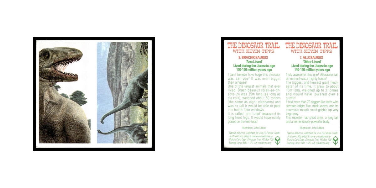 Allosaurus Brachiosaurus 1993 Brooke Bond The Dinosaur Trail Double Card #7/8 NM