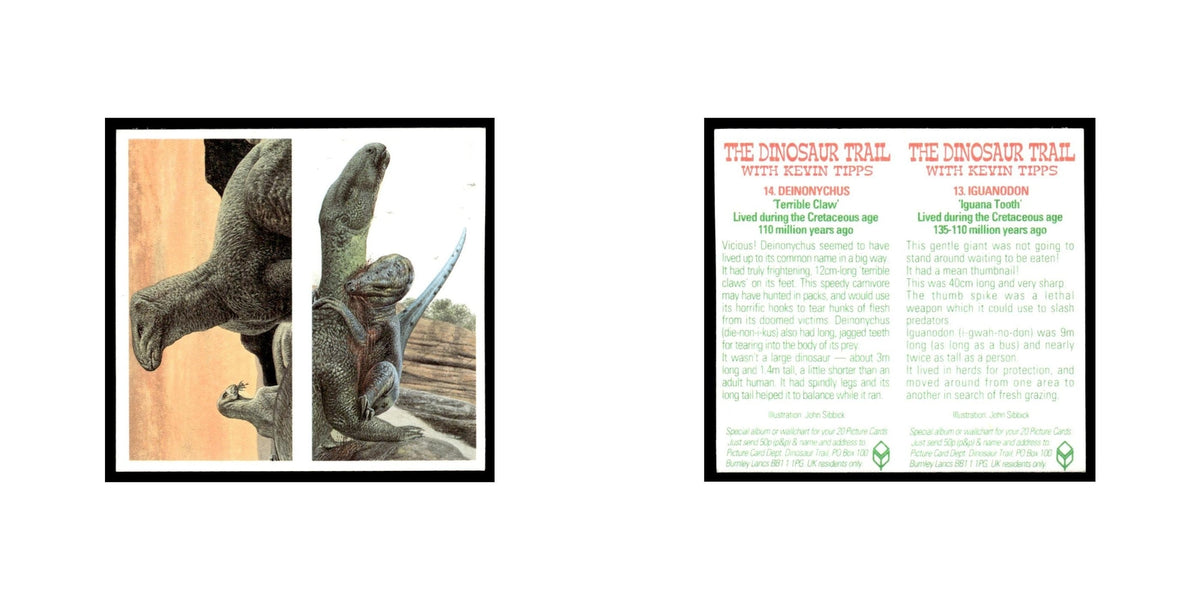 Iguanodon Deinonychus 1993 Brooke Bond The Dinosaur Trail Double Card #13/14 NM