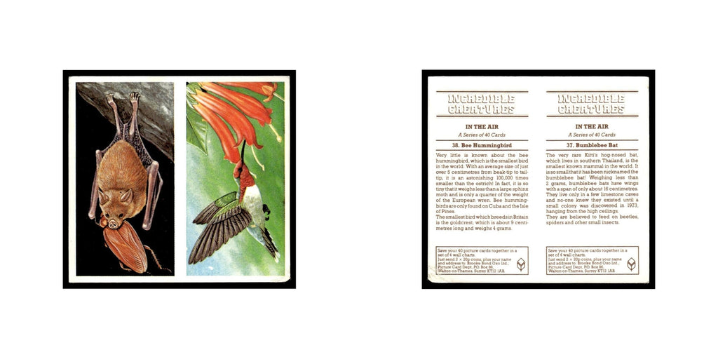 Bumblebee Bat Bee Hummingbird 1985 #37/38 NM